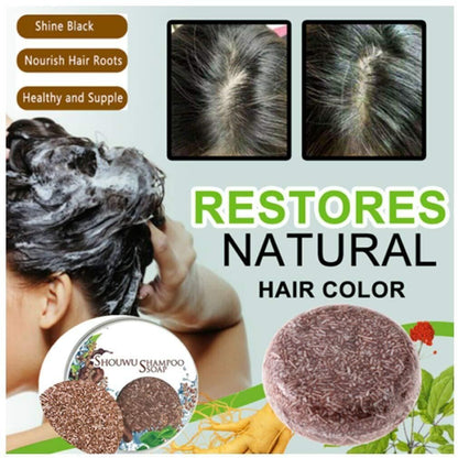 Organic Grey Reverse Shampoo Bar-Natural Organic Conditioner And Repair Care 🌟🍃(24000+ Reviews ⭐⭐⭐⭐⭐)